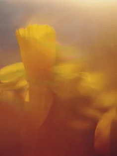 Optimale Sichtbarkeit